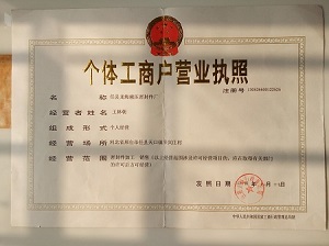 Business LICENSE